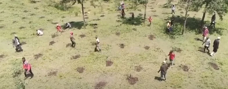 Lâm nghiệp Mai Sơn phát động đợt cao điểm tuần tra phòng cháy chữa cháy rừng